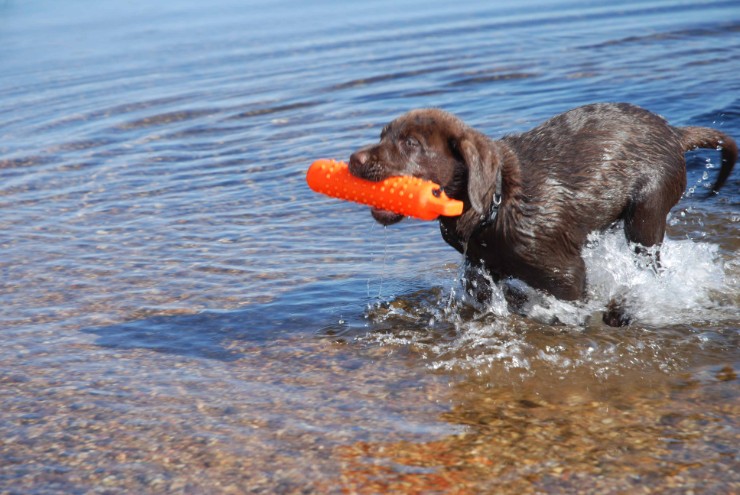 Tucker_2007 10 18 002.jpg